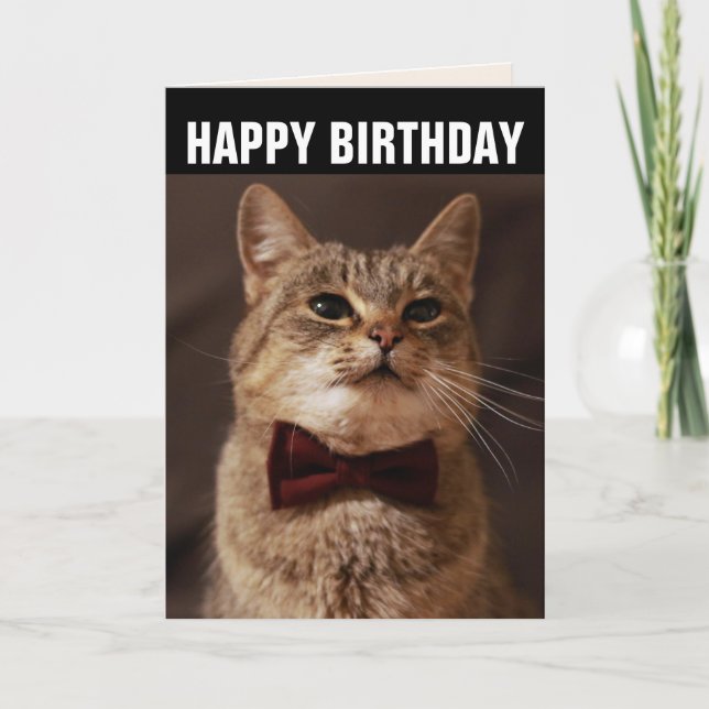 TABBY CAT BOW TIE TARJETA DE REUNIÓN DE CUMPLEAÑOS (Anverso)