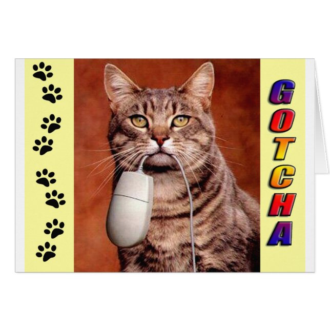 Tabby Cat Gotcha (Anverso (Horizontal))
