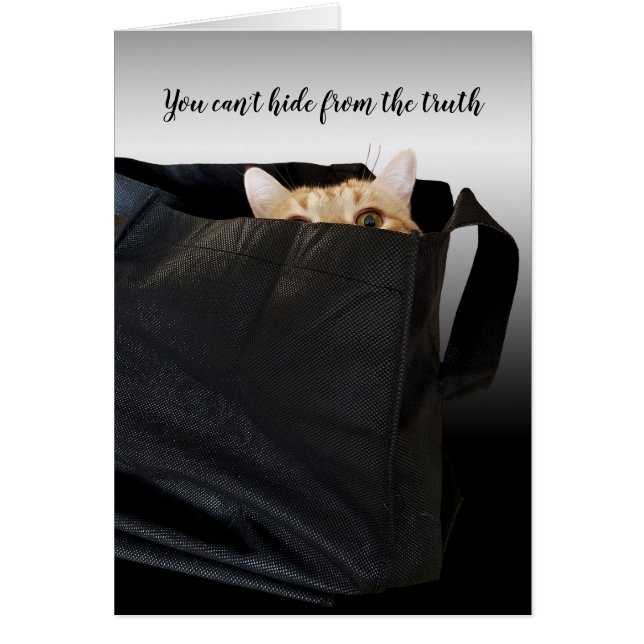 tabby cat in black bag (Frente)
