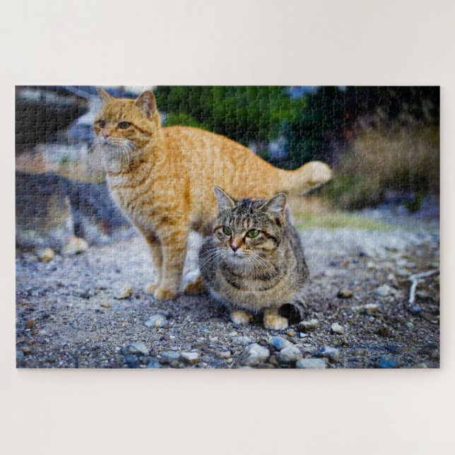 tabby cats puzzle (Horizontal)
