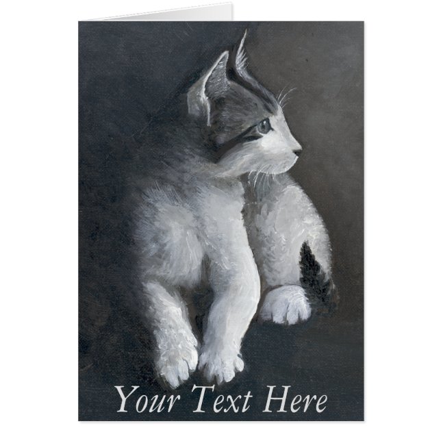 Tabby Kitten (Frente)