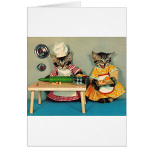tabby kitten chef y tabby kitten asistente
