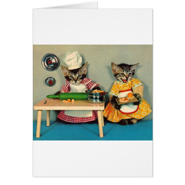 tabby kitten chef y tabby kitten asistente (Frente)