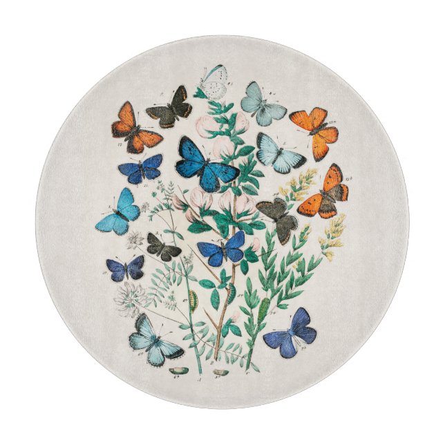 TABLA DE COLOR DE VIDRIO : IMPRESIÓN ANTIGUA : MAR (Anverso)