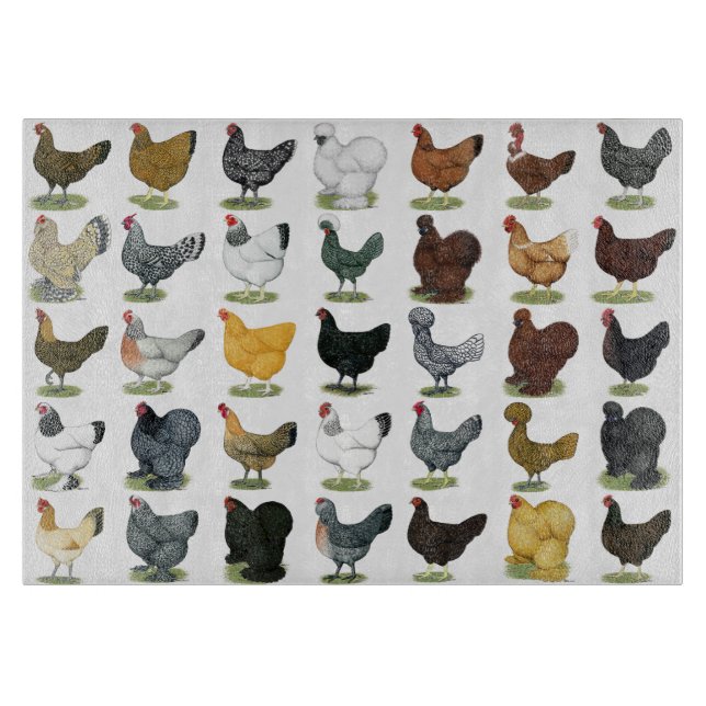 Tabla De Cortar 49 gallinas del pollo (Anverso)