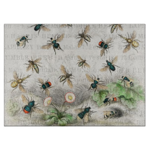 Tabla De Cortar Abeja Reina Entomología Botánica Vintage