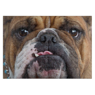 Tabla De Cortar Almohada de inglés bulldog