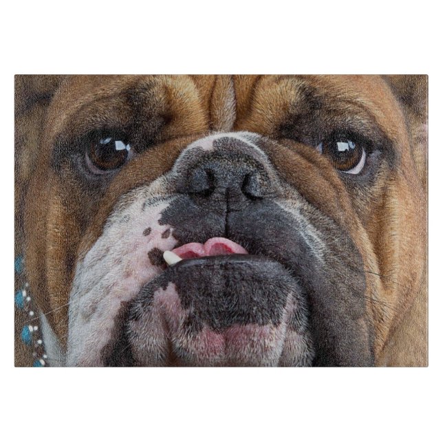 Tabla De Cortar Almohada de inglés bulldog (Anverso)