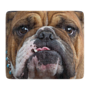 Tabla De Cortar Almohada de inglés bulldog
