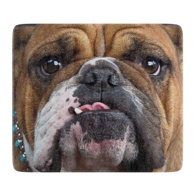 Tabla De Cortar Almohada de inglés bulldog (Anverso)