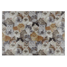 Amantes del gato: vidrio templado