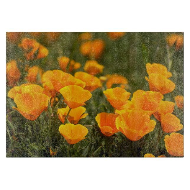 Tabla De Cortar Amapolas de California, Parque Estatal Montana de  (Anverso)