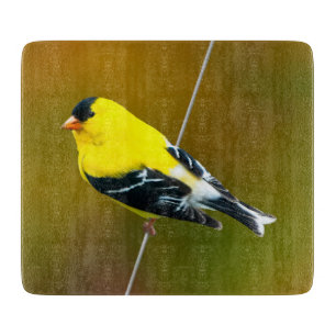 Tabla De Cortar American Goldfinch - Fotografía original