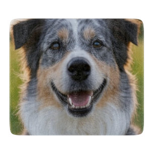 Tabla De Cortar Añadir Personalizar de fotografía Mascota