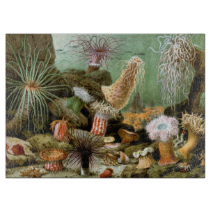 Tabla De Cortar Anémonas marinas, animales marinos de vida vintage