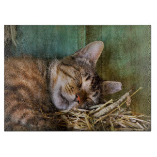 Tabla De Cortar Animal - Cat - Cat Nap
