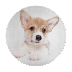 Tabla De Cortar Animales de bebé más afectados   Bebé dulce Corgi