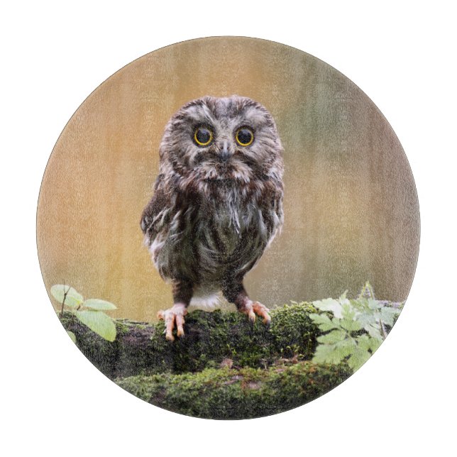 Tabla De Cortar Animales de bebé más afectados | Bebé Lechuza (Anverso)