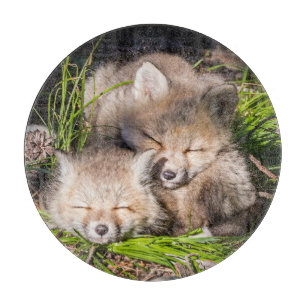 Tabla De Cortar Animales de bebé más afectados Bebé Red Fox Kits