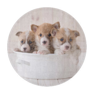 Tabla De Cortar Animales de bebé más afectados   Cachorros de Corg