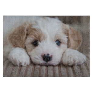 Tabla De Cortar Animales de bebé más afectados Cavashon Puppy