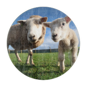 Tabla De Cortar Animales de bebé más afectados   Cordero recién na