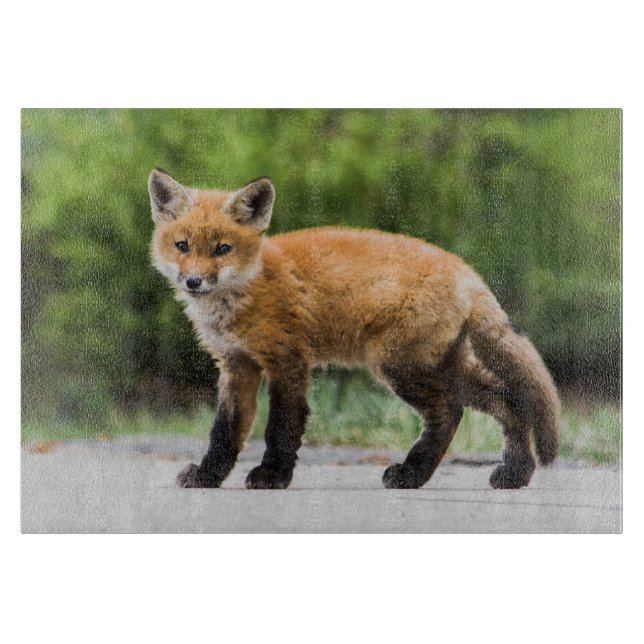 Tabla De Cortar Animales de bebé más afectados | Cutey Fox (Anverso)
