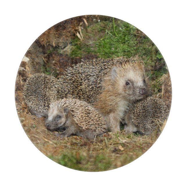 Tabla De Cortar Animales de bebé más afectados | Familia Hedgehog (Anverso)