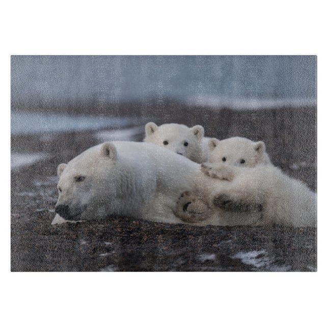 Tabla De Cortar Animales de bebé más afectados | Familia Oso Polar (Anverso)