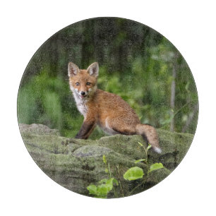 Tabla De Cortar Animales de bebé más afectados Foxy Smile