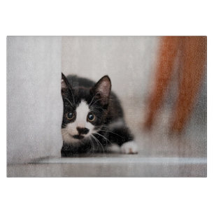 Tabla De Cortar Animales de bebé más afectados   Gatito blanco y n