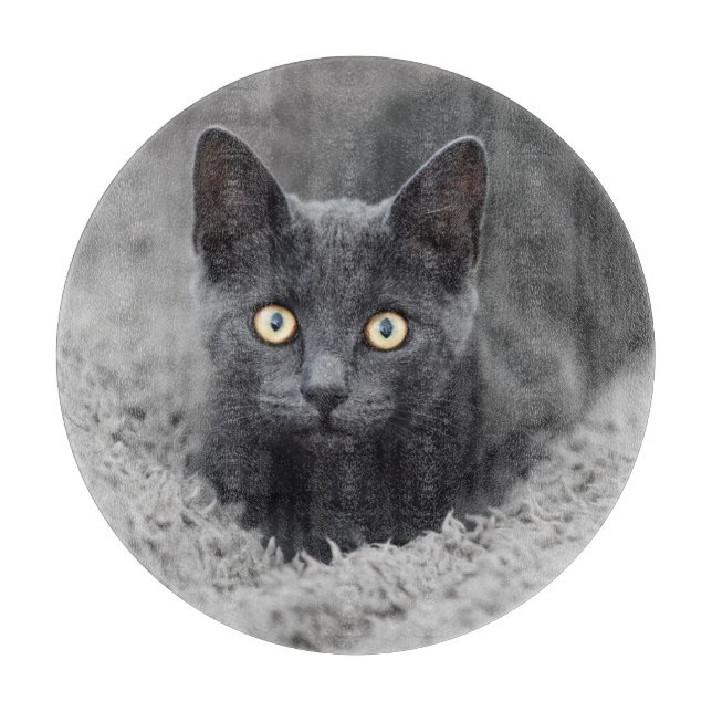 Tabla De Cortar Animales de bebé más afectados | Gato gris (Anverso)