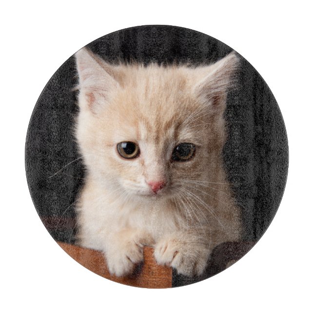 Tabla De Cortar Animales de bebé más afectados | Ginger Kitten (Anverso)