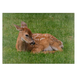 Tabla De Cortar Animales de bebé más afectados Little Fawn
