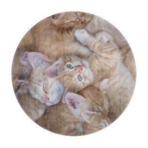 Tabla De Cortar Animales de bebé más afectados Naranja Kitten Pi