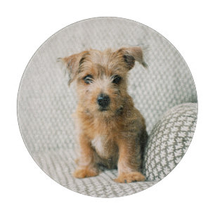 Tabla De Cortar Animales de bebé más afectados   Norfolk Terrier P