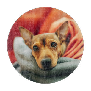 Tabla De Cortar Animales de bebé más afectados   Pinscher en minia