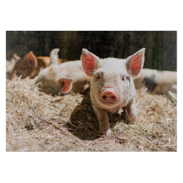 Tabla De Cortar Animales de bebé más afectados | Pizarra De Bebé (Anverso)