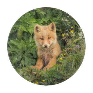 Tabla De Cortar Animales de bebé más afectados   Red Fox en Umnak 