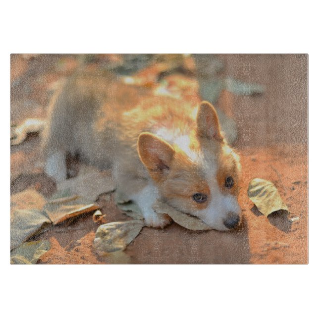 Tabla De Cortar Animales de bebé más afectados | Shy Corgi (Anverso)