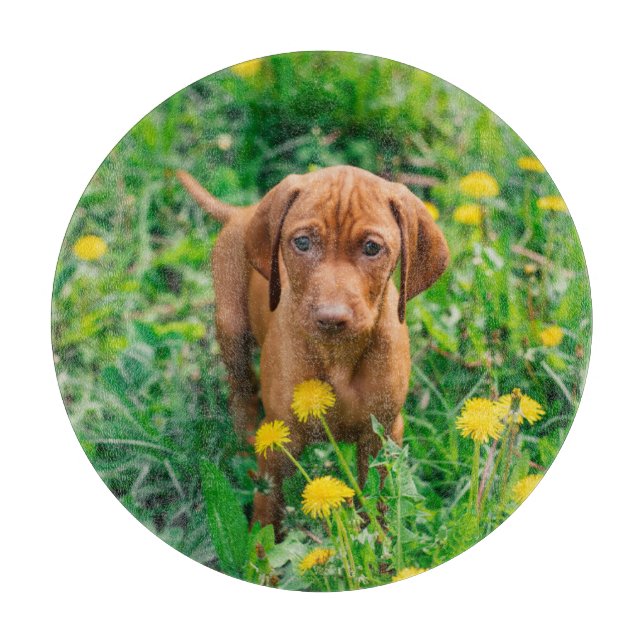 Tabla De Cortar Animales de bebé más afectados | Tubería de punter (Anverso)