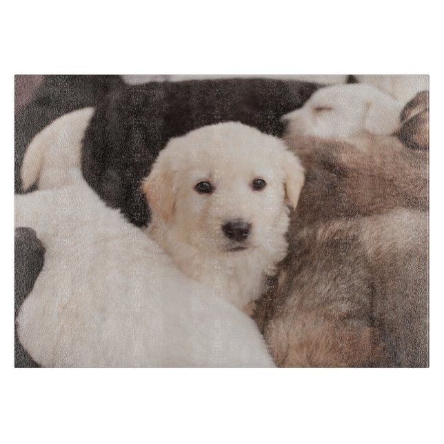 Tabla De Cortar Animales de bebé más afectados | Una pequeña píldo (Anverso)