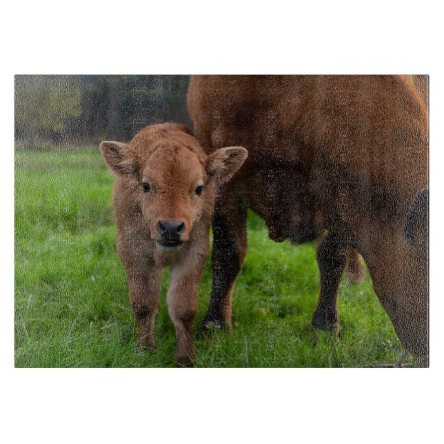 Tabla De Cortar Animales de bebé más afectados | Vaca y ternera (Anverso)