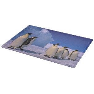 Tabla De Cortar Antártida, Territorio Antártico Australiano, 7