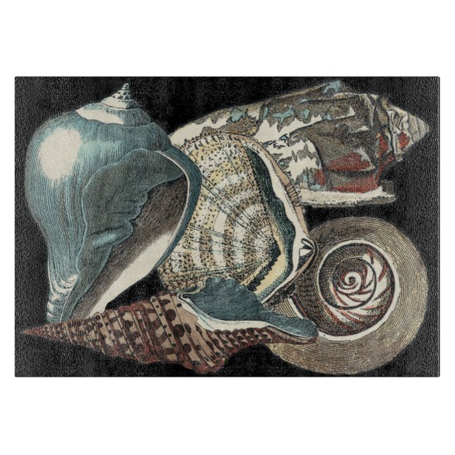 Tabla De Cortar Antología de las conchas marinas (Anverso)