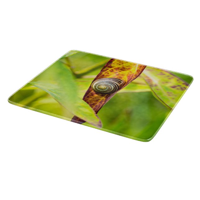 Tabla De Cortar apego tranquilo (Borde)