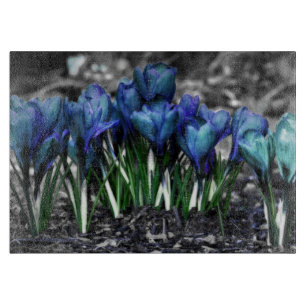 Tabla De Cortar Aqua Blue Crocus Blooms