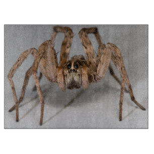 Tabla De Cortar Araña de lobo