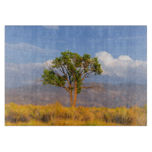 Tabla De Cortar Árbol