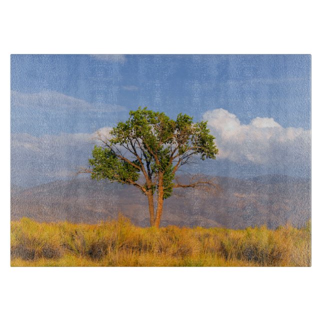Tabla De Cortar Árbol (Anverso)